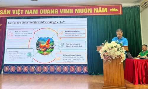 Project closing conference "My right to learn - Phase 2": Closing one journey, opening many hopes